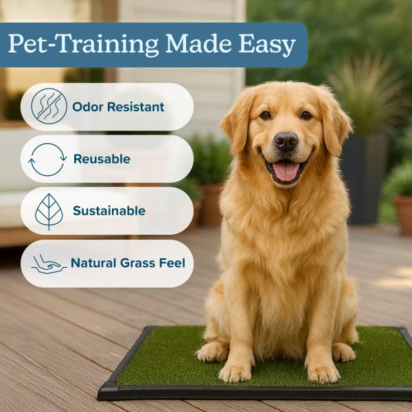 PETMAKER clean-up-ready pad with rinse-friendly surfaces for quick maintenance