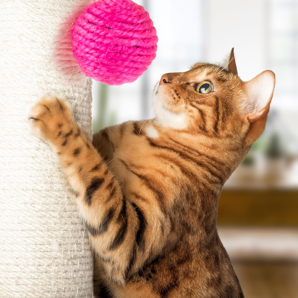PETMAKER compact indoor cat scratcher fits small spaces without clutter.