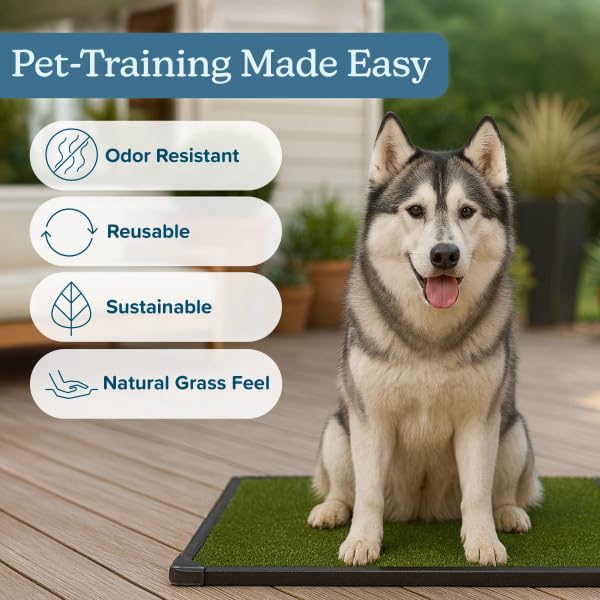PETMAKER dog grass pad with holder supports practical, reusable training.
