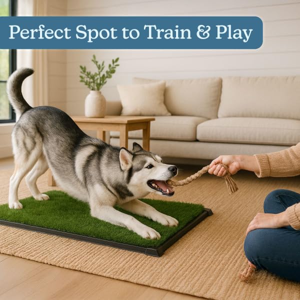 PETMAKER indoor-outdoor potty setup fits apartments and patios.