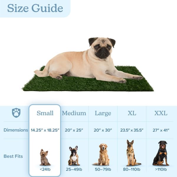 PETMAKER non-toxic surface for gentle potty training sessions.