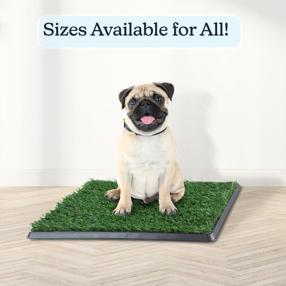 PETMAKER easy cleanup with rinse-clean tray and layers