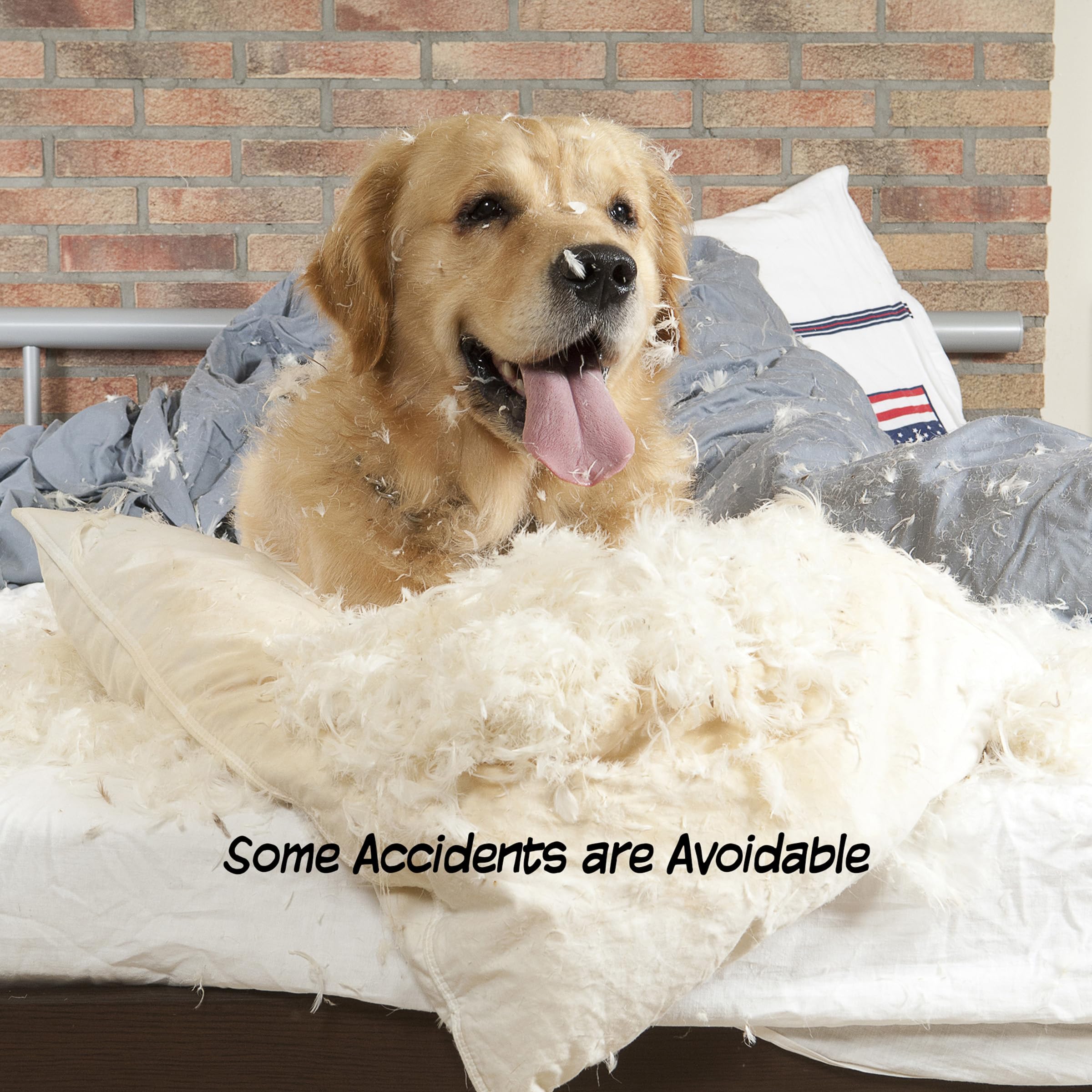 Freestanding gate creates pet-free zones in hallways or rooms.