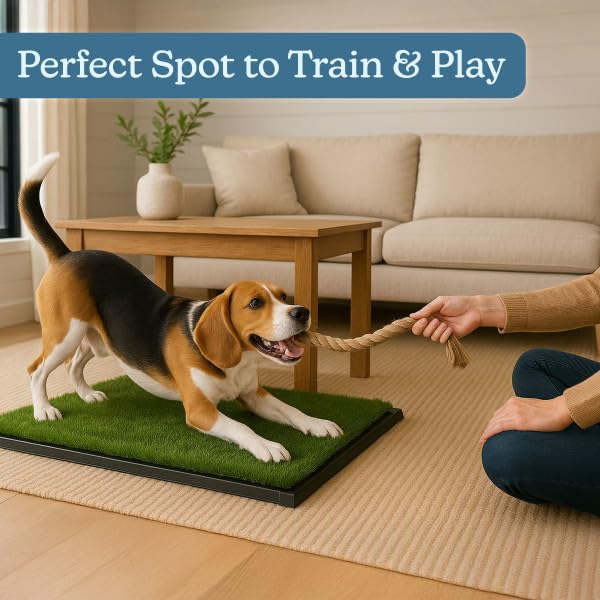 Green and black PETMAKER design suitable for indoor living areas