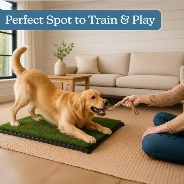 PETMAKER indoor housebreaking example supports year-round training