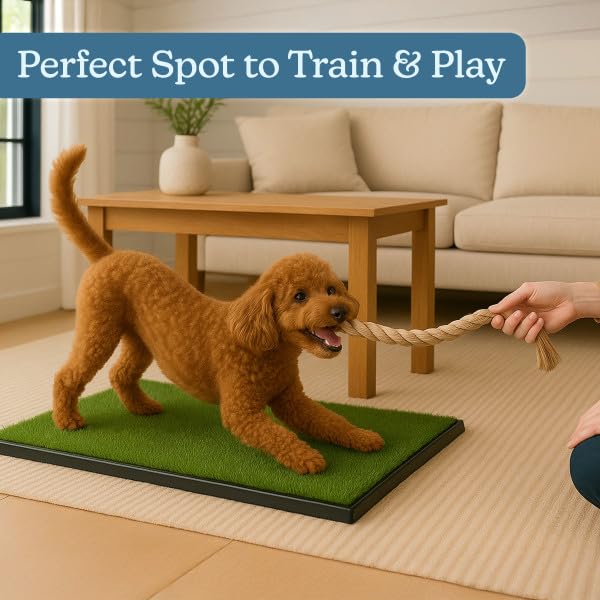 PETMAKER indoor-outdoor design supports versatile potty options for apartments and patios.