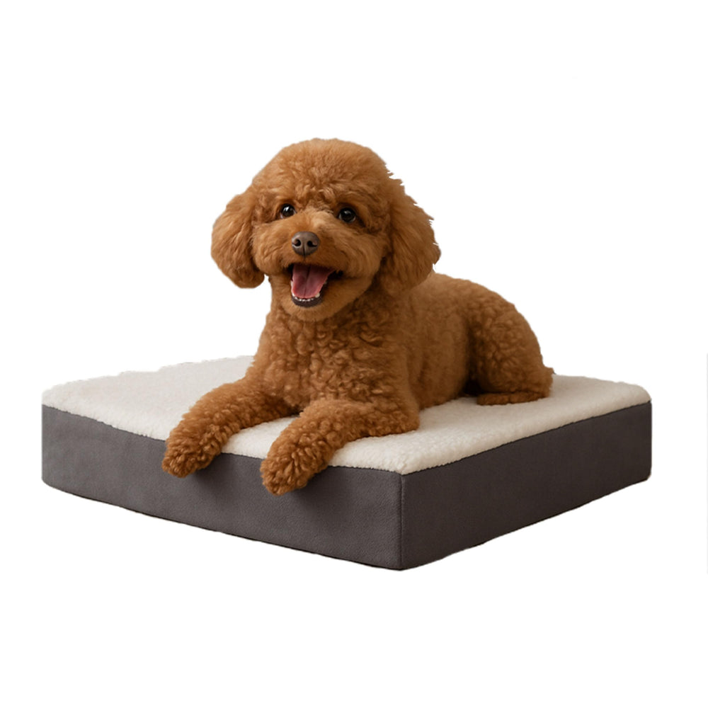 PETMAKER orthopedic dog bed memory-foam-base provides steady joint support for small dogs