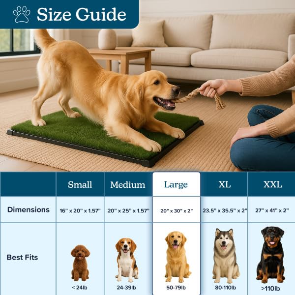 PETMAKER puppy training benefits include consistency and positive routines