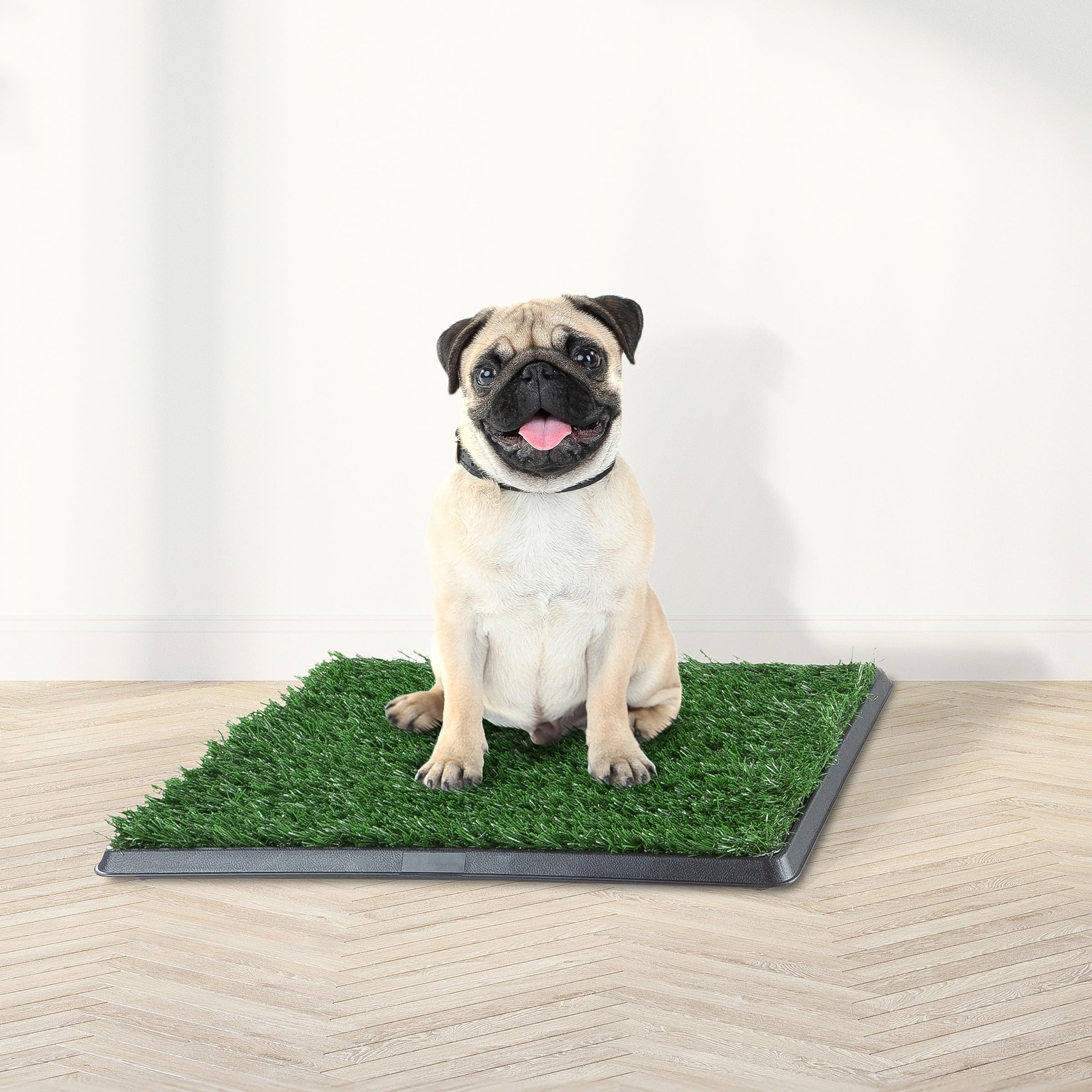 PETMAKER reusable dog potty pad works indoors and outdoors