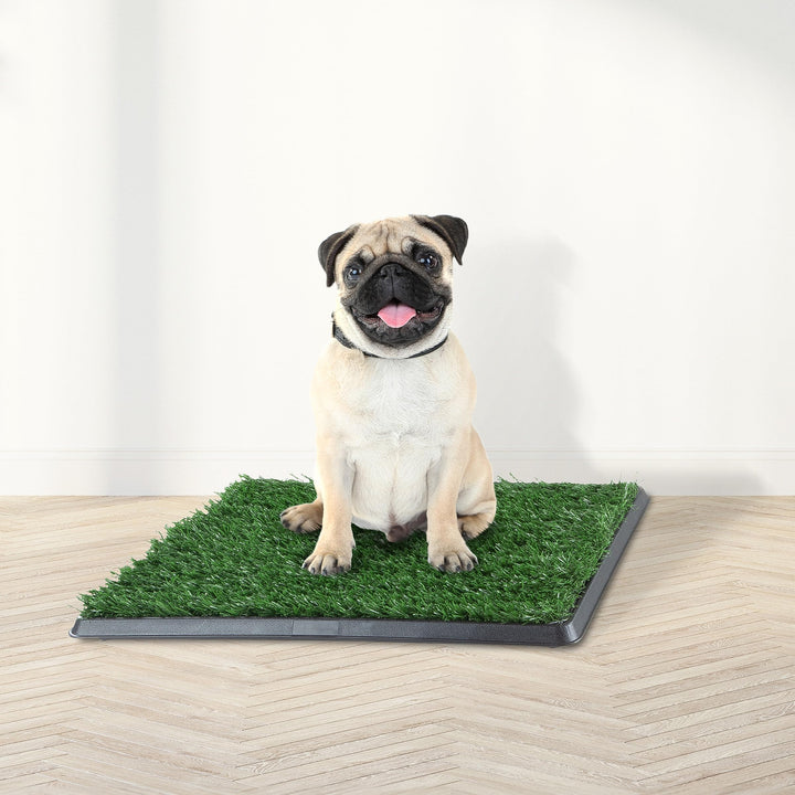 PETMAKER reusable dog potty pad works indoors and outdoors