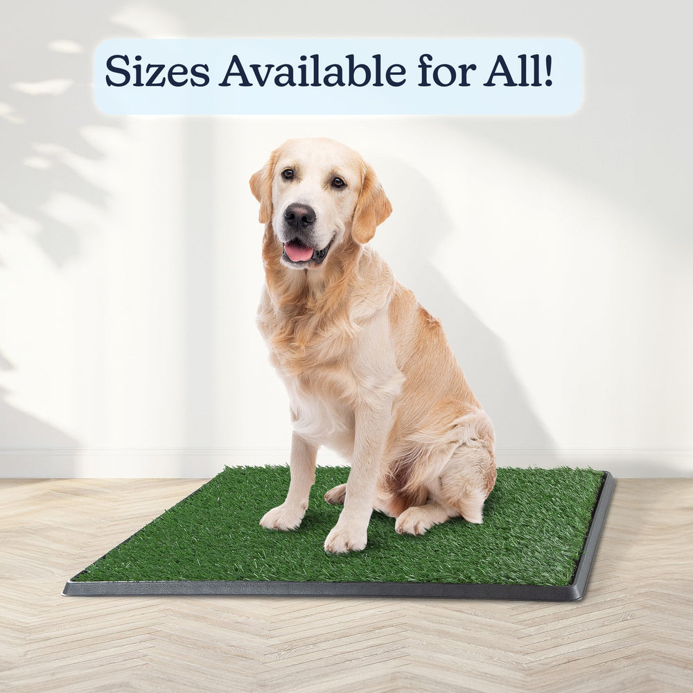 PETMAKER secure plastic drainage insert channels liquid into the durable tray.