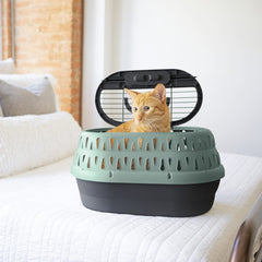 Petmate 19-inch carrier designed for small pets on trips.