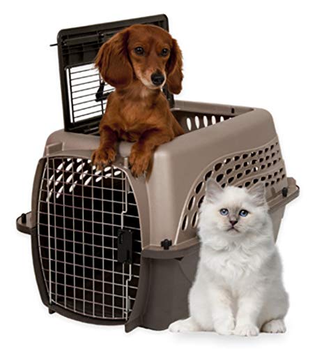 Petmate airline-approved small pet carrier offers secure travel solution.