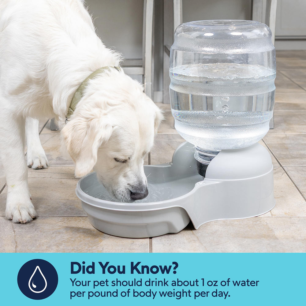 Petmate Aspen Lebistro spill-free lip protects floors from drips