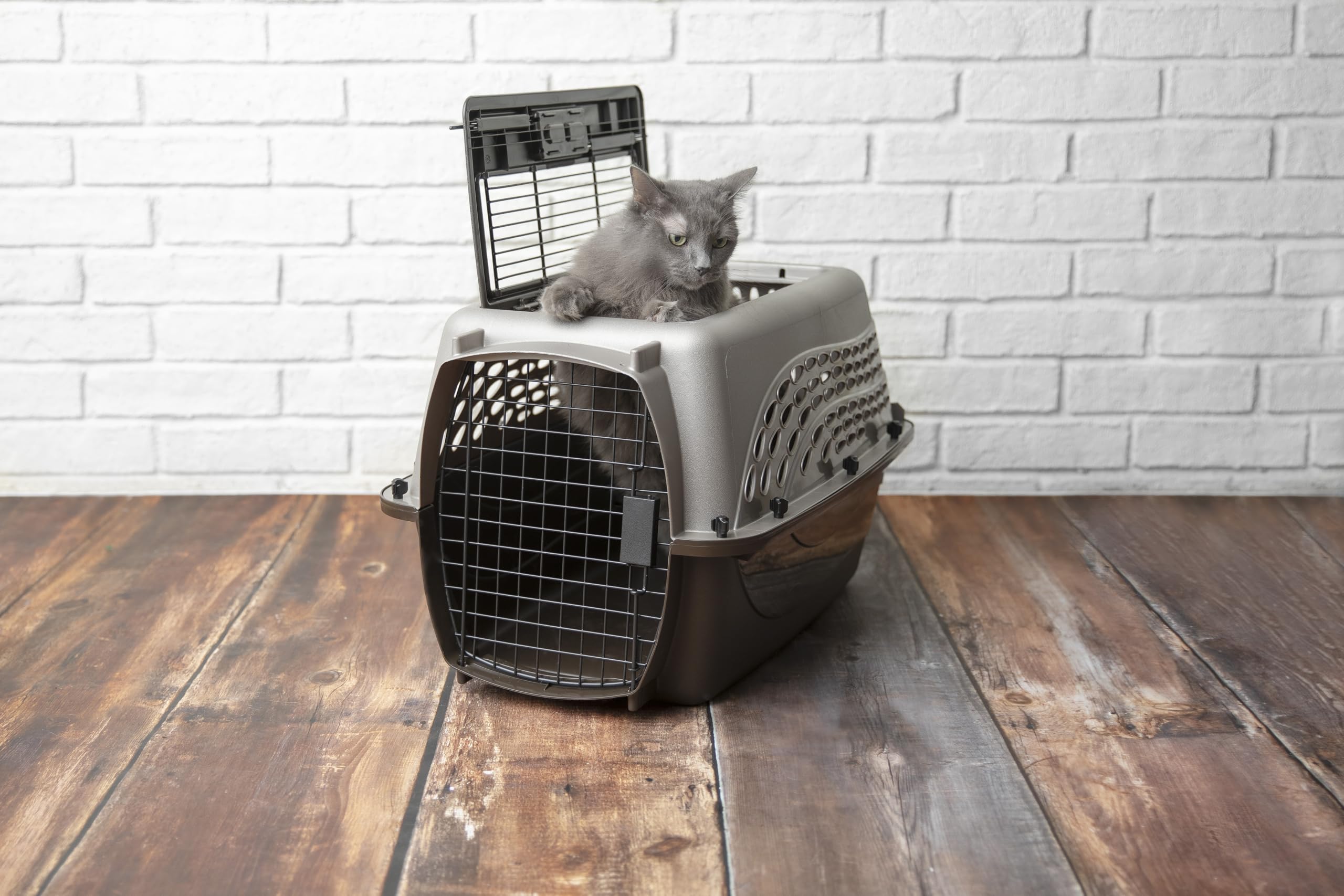 Petmate foldable handle streamlines transportation to car, vet, or park.