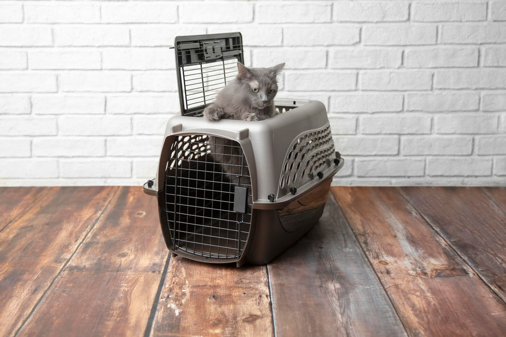 Petmate foldable handle streamlines transportation to car, vet, or park.