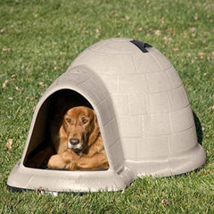 Petmate Indigo dog house side view highlighting spacious interior and durable build.