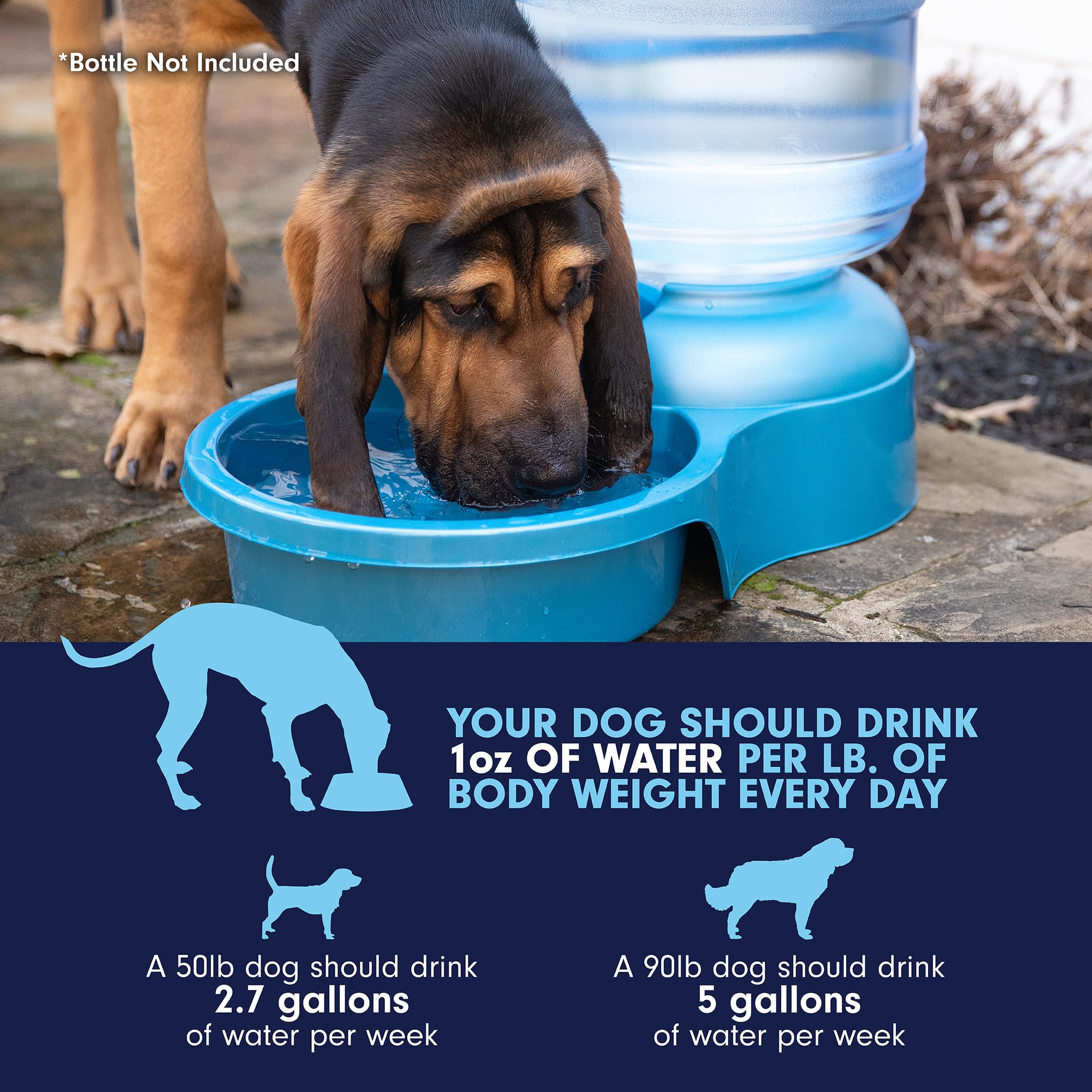 USA-made Petmate logo on the water bowl.
