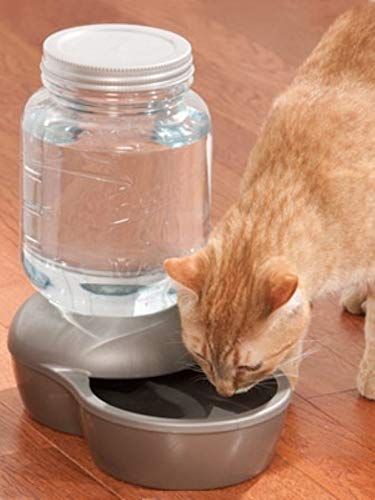 Petmate Mason Inspired Replendish bowl base with attached bottle for stable water access.