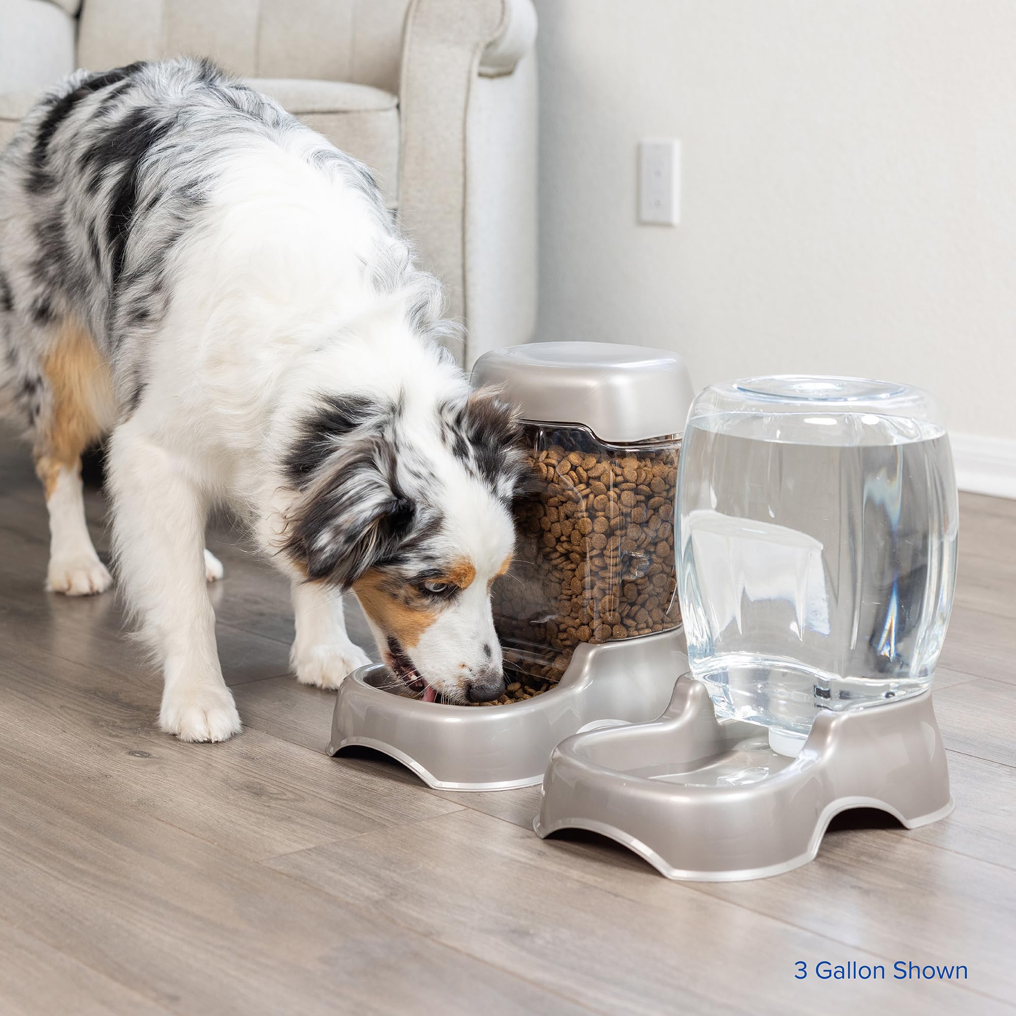 Petmate Pet Cafe design prioritizes practicality and pet comfort