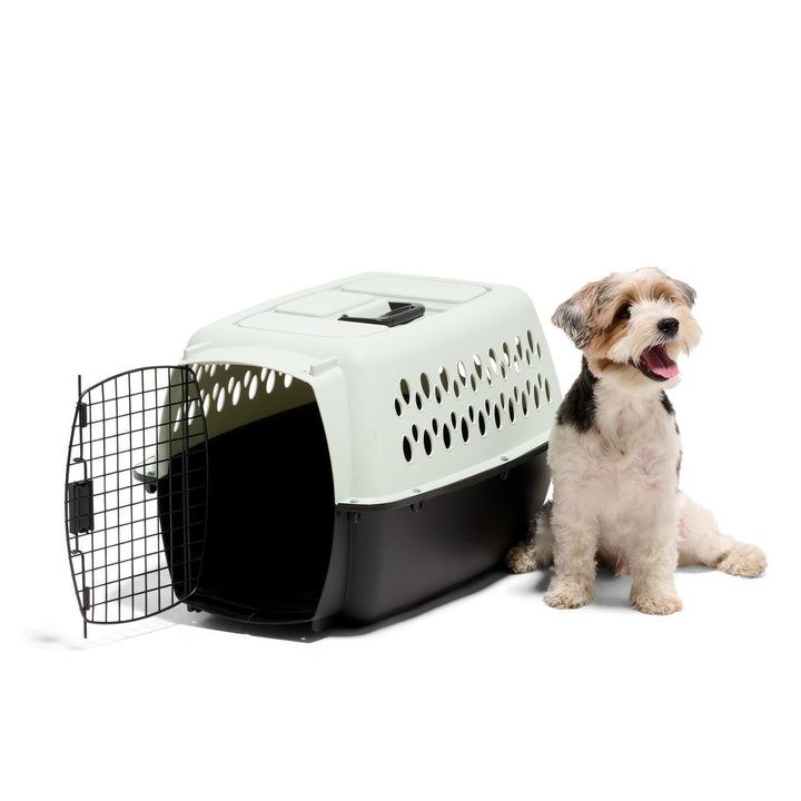 Petmate Pet Porter Fashion Dog Kennel with easy-open latch securing the door for transport.