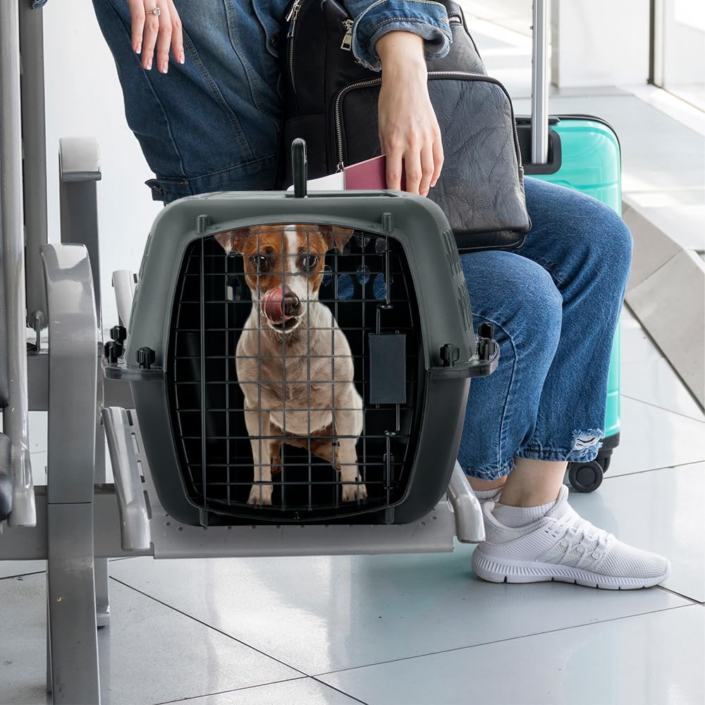 Petmate Pet Porter durable shell supports reliable travel use and easy cleaning