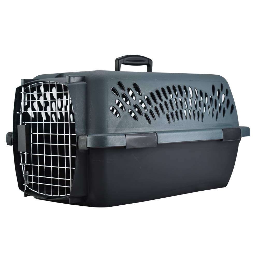 Petmate Pet Porter folding-handle highlights lightweight portability