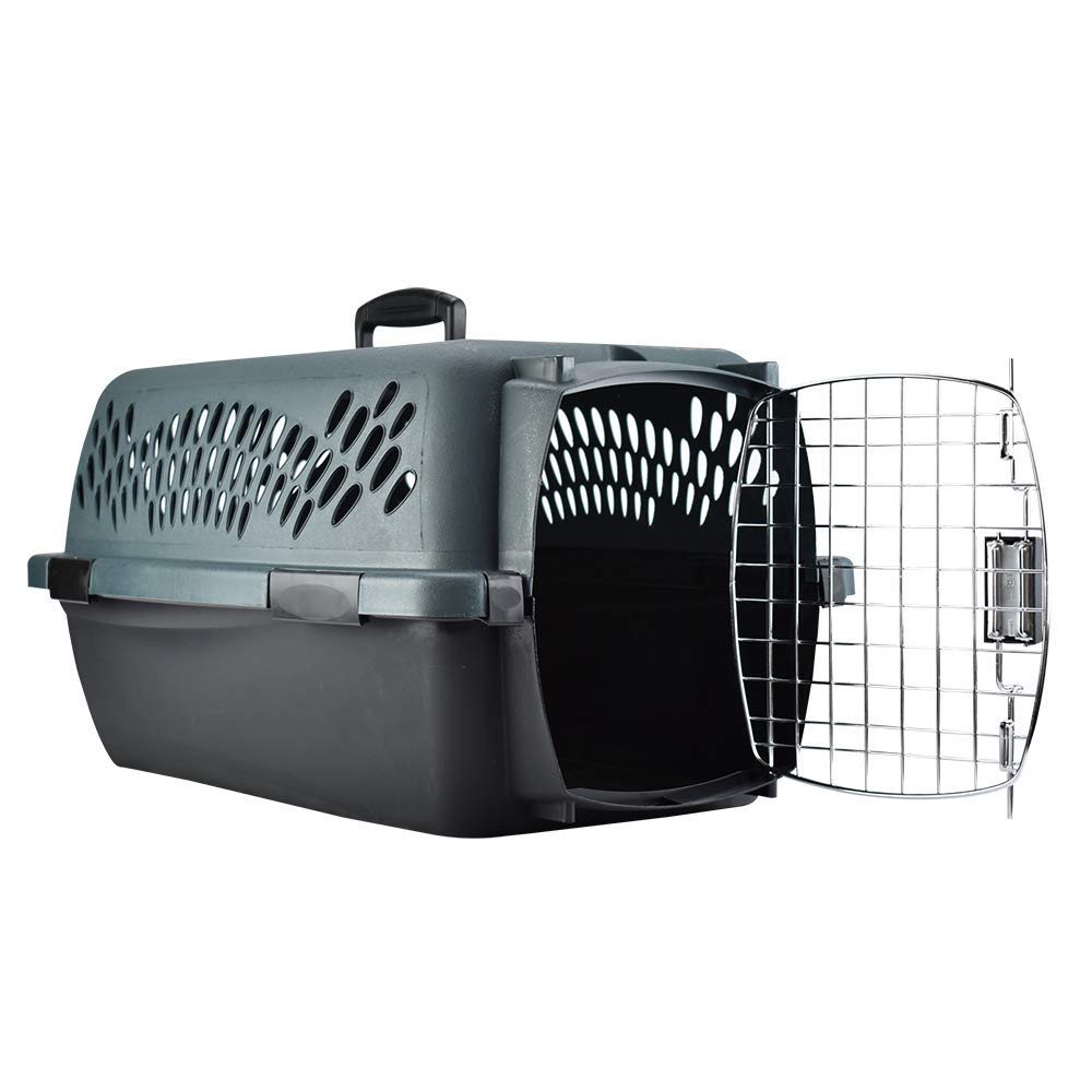 Petmate Pet Porter interior dimensions reveal generous space for a small pet