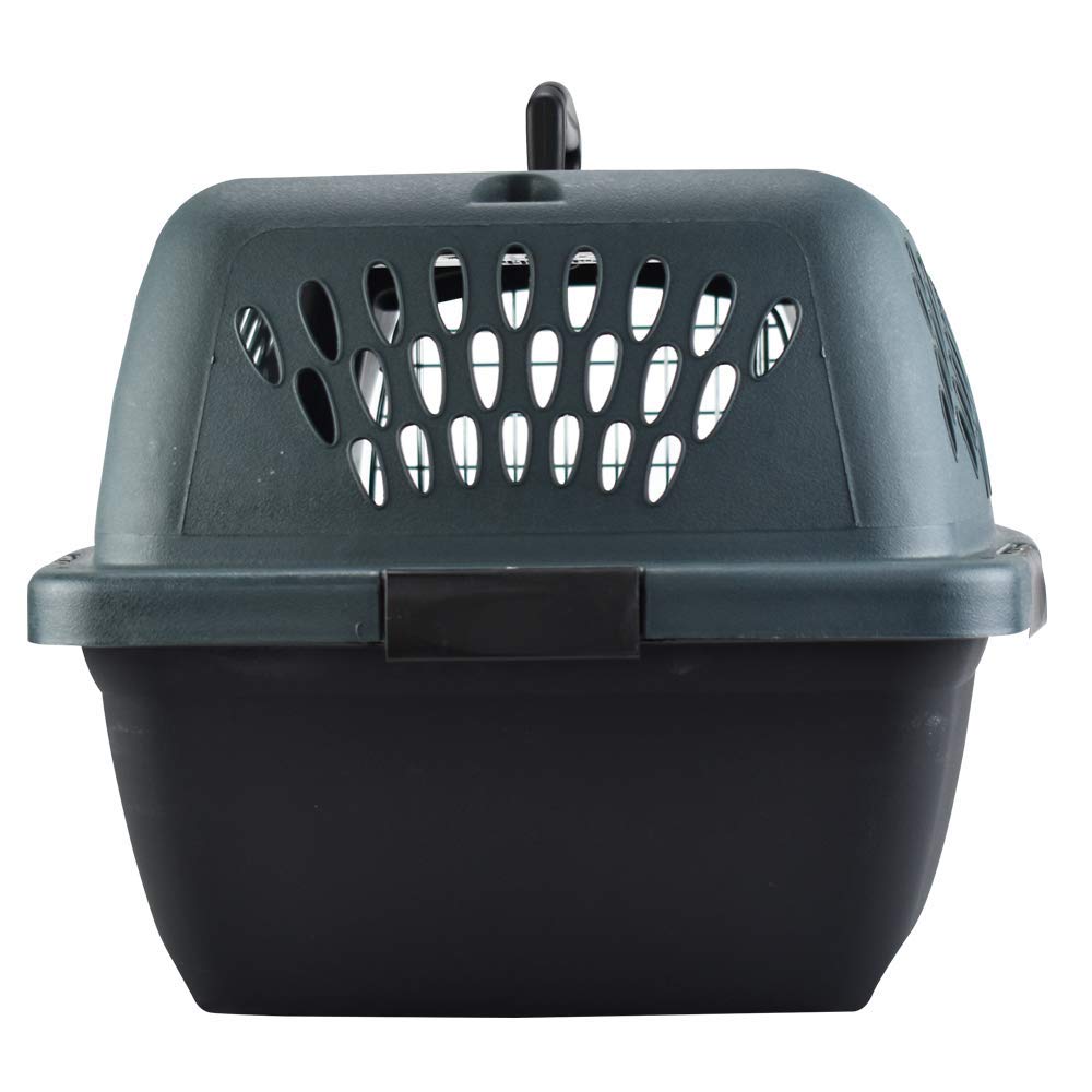 Petmate Pet Porter 23-inch ventilation on four sides for airflow and comfort