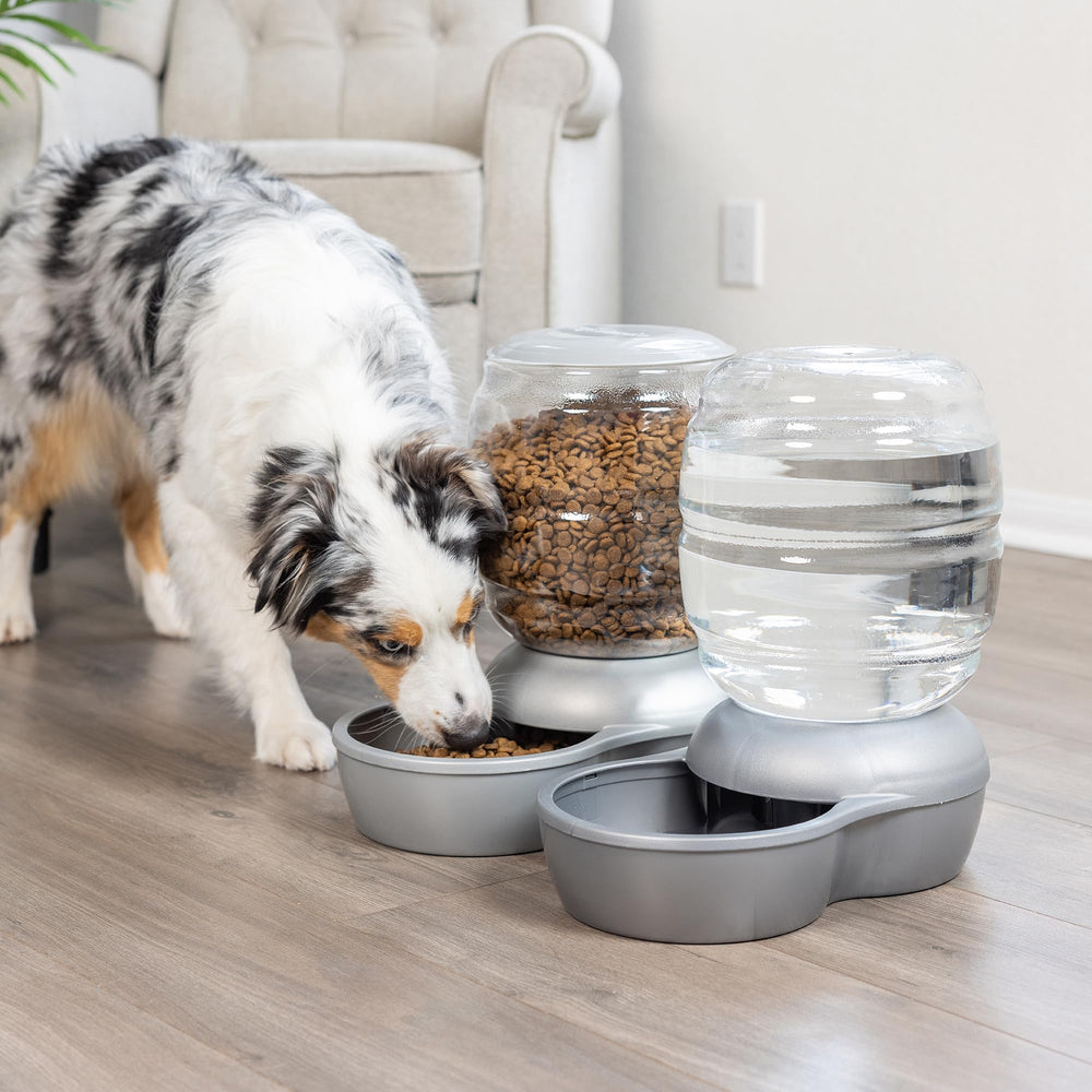 Petmate Replendish charcoal-filter visual illustrates purified water and BPA-free material