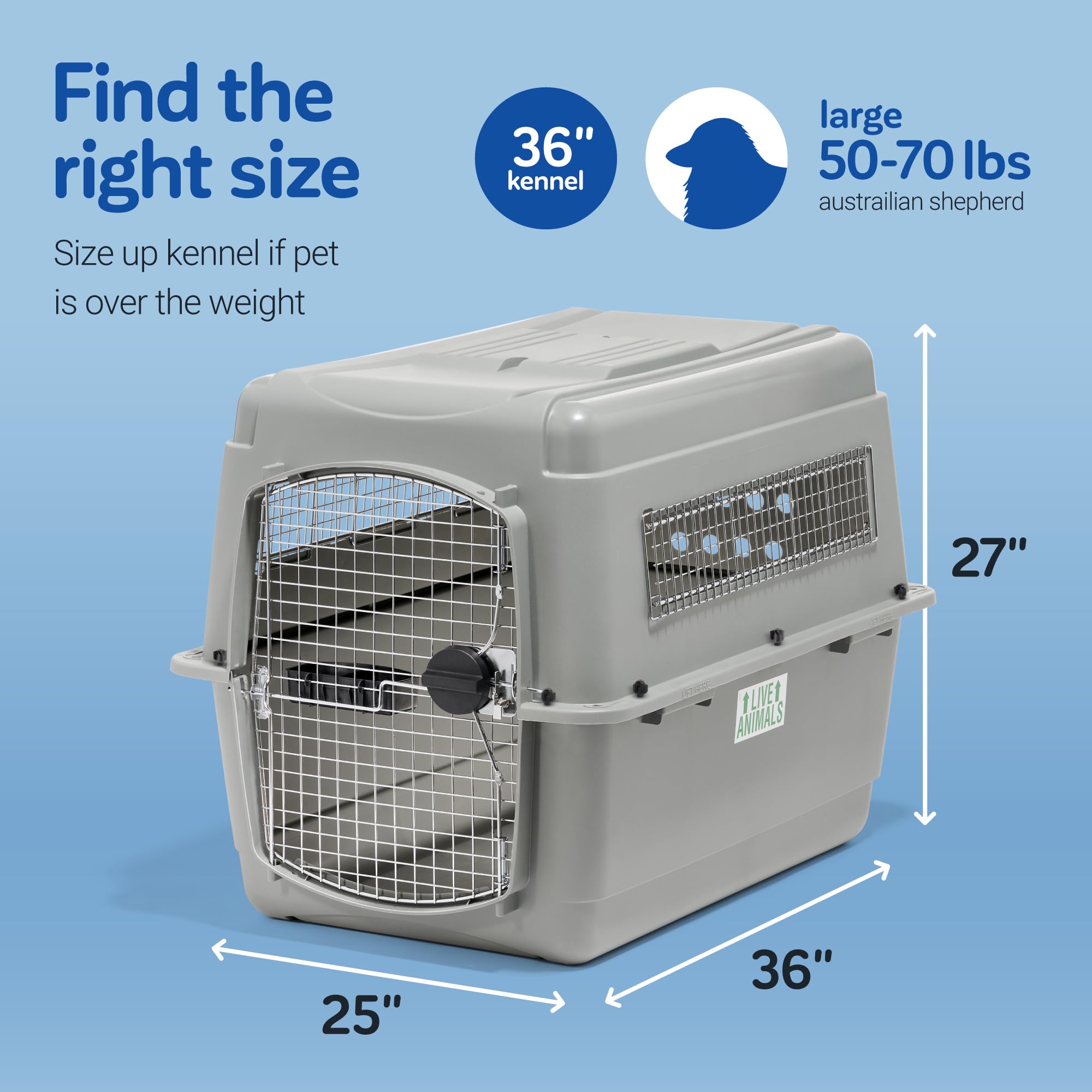 Petmate Sky Kennel demonstrates 360-degree ventilation for airflow