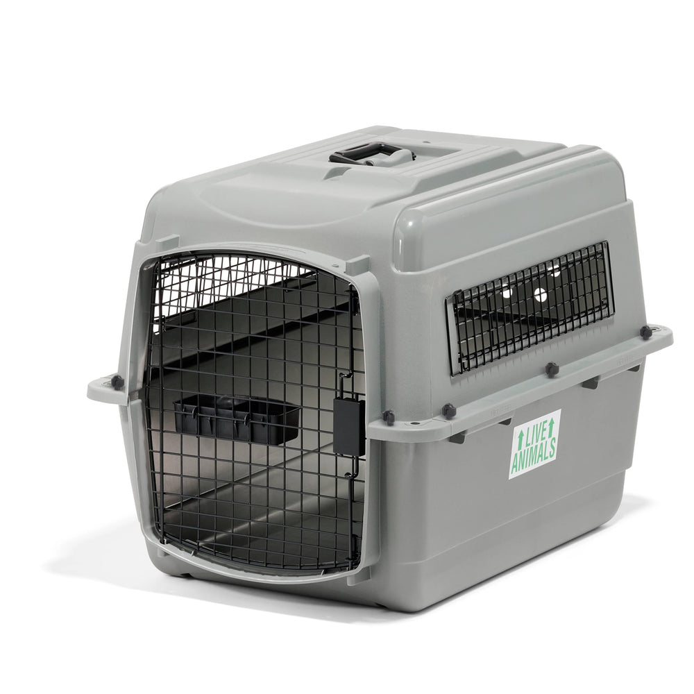 Petmate Sky Kennel interior space for medium dogs during travel