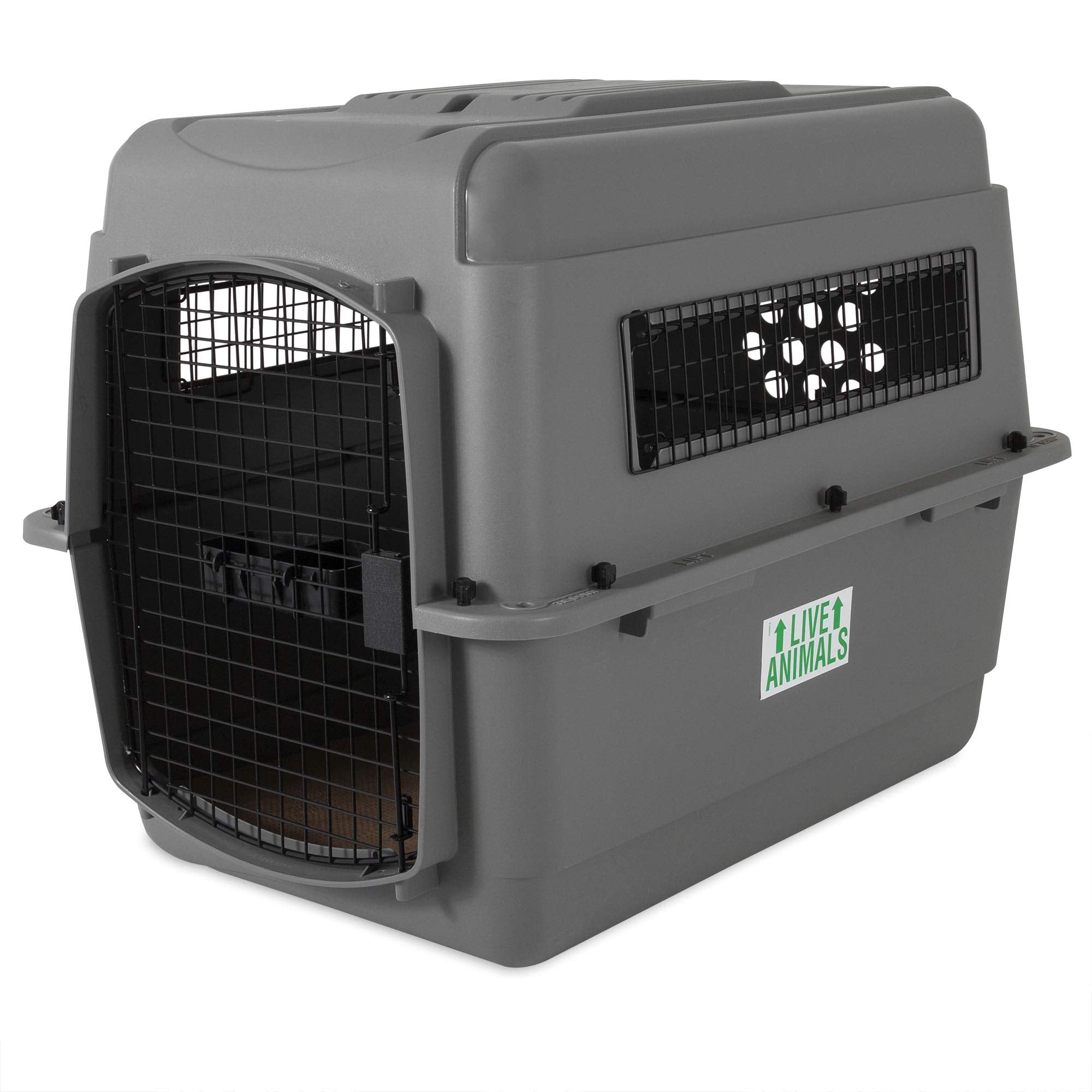 Petmate Sky Kennel interior view showing roomy space for medium dogs during travel