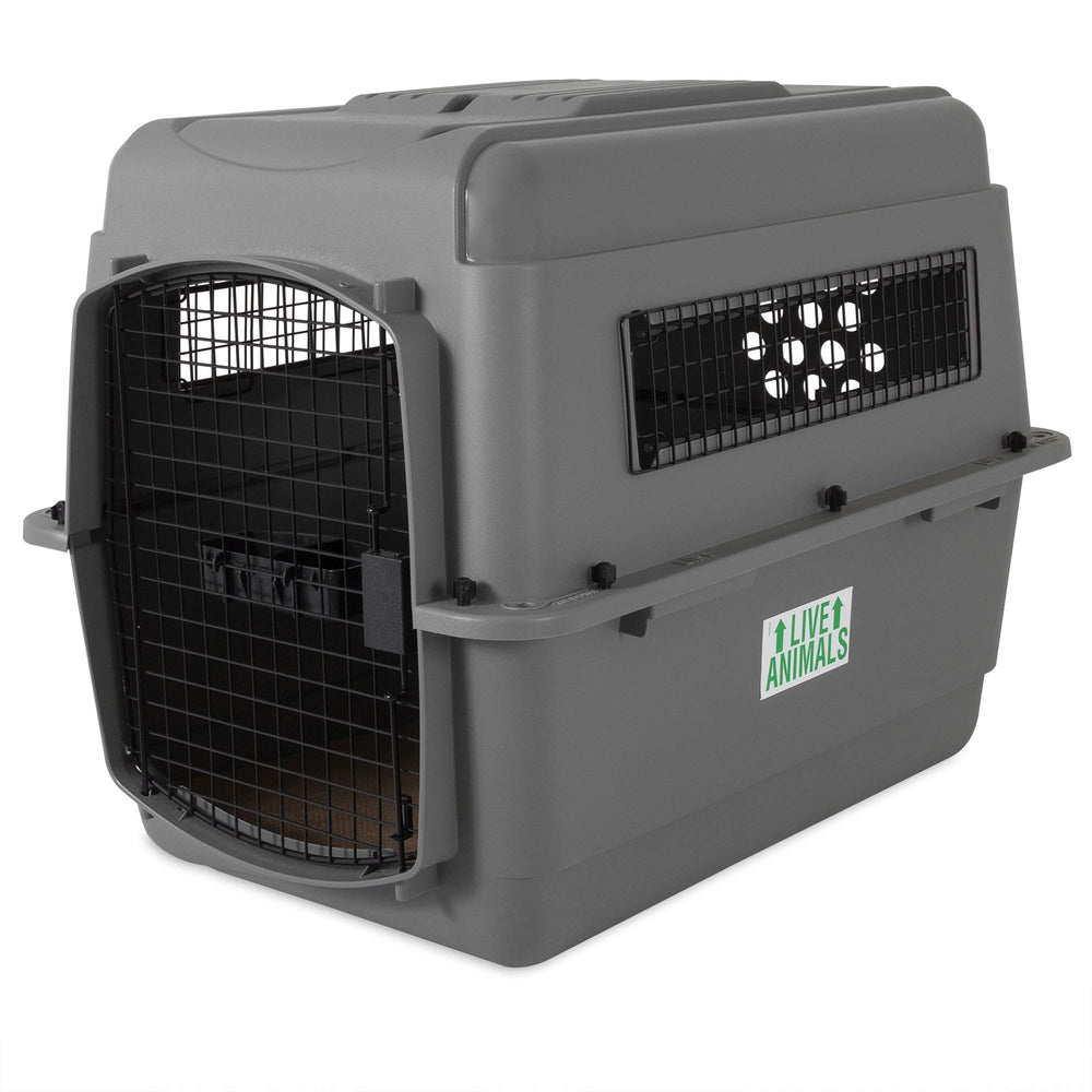 Petmate Sky Kennel interior view showing roomy space for medium dogs during travel