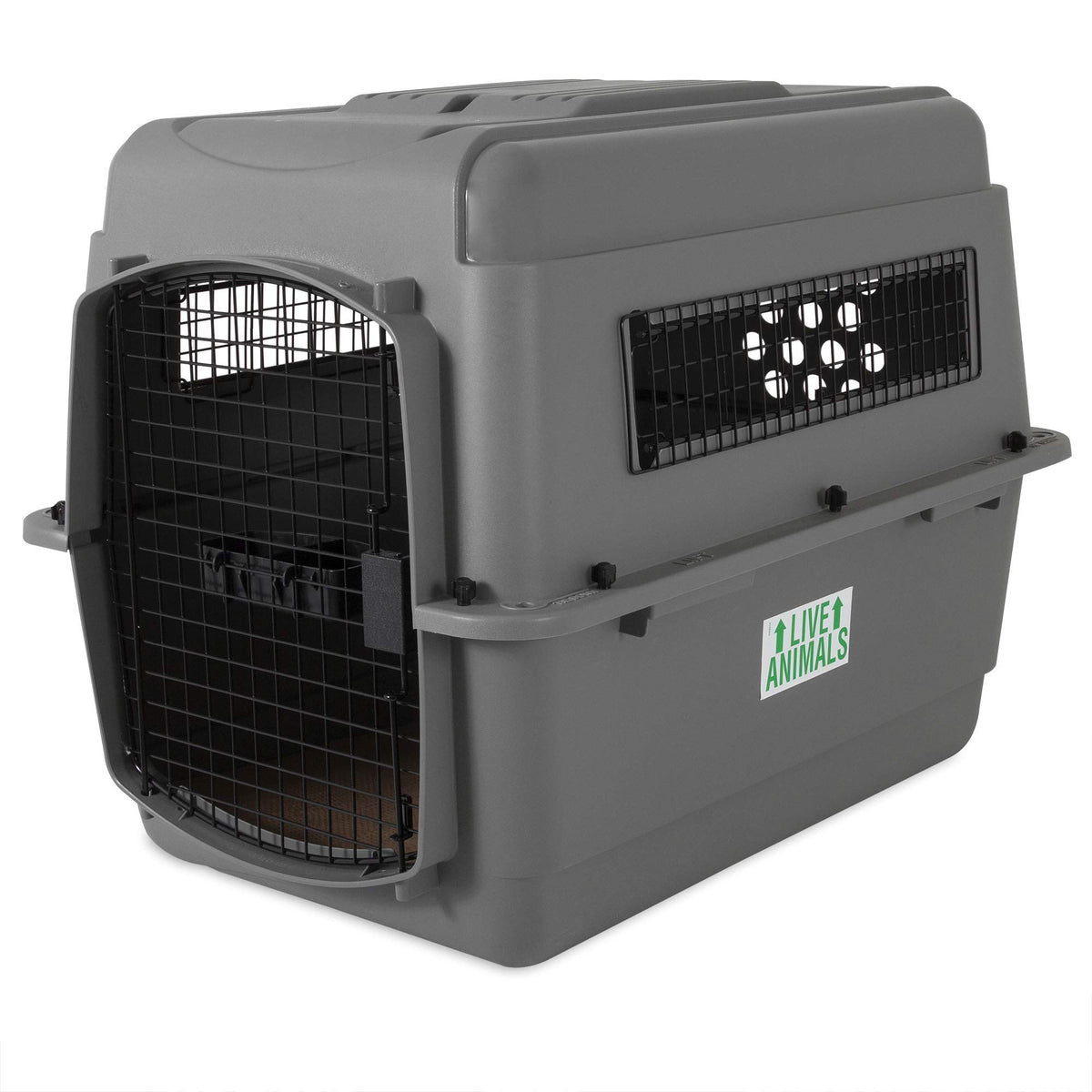 Petmate Sky Kennel interior view showing roomy space for medium dogs during travel