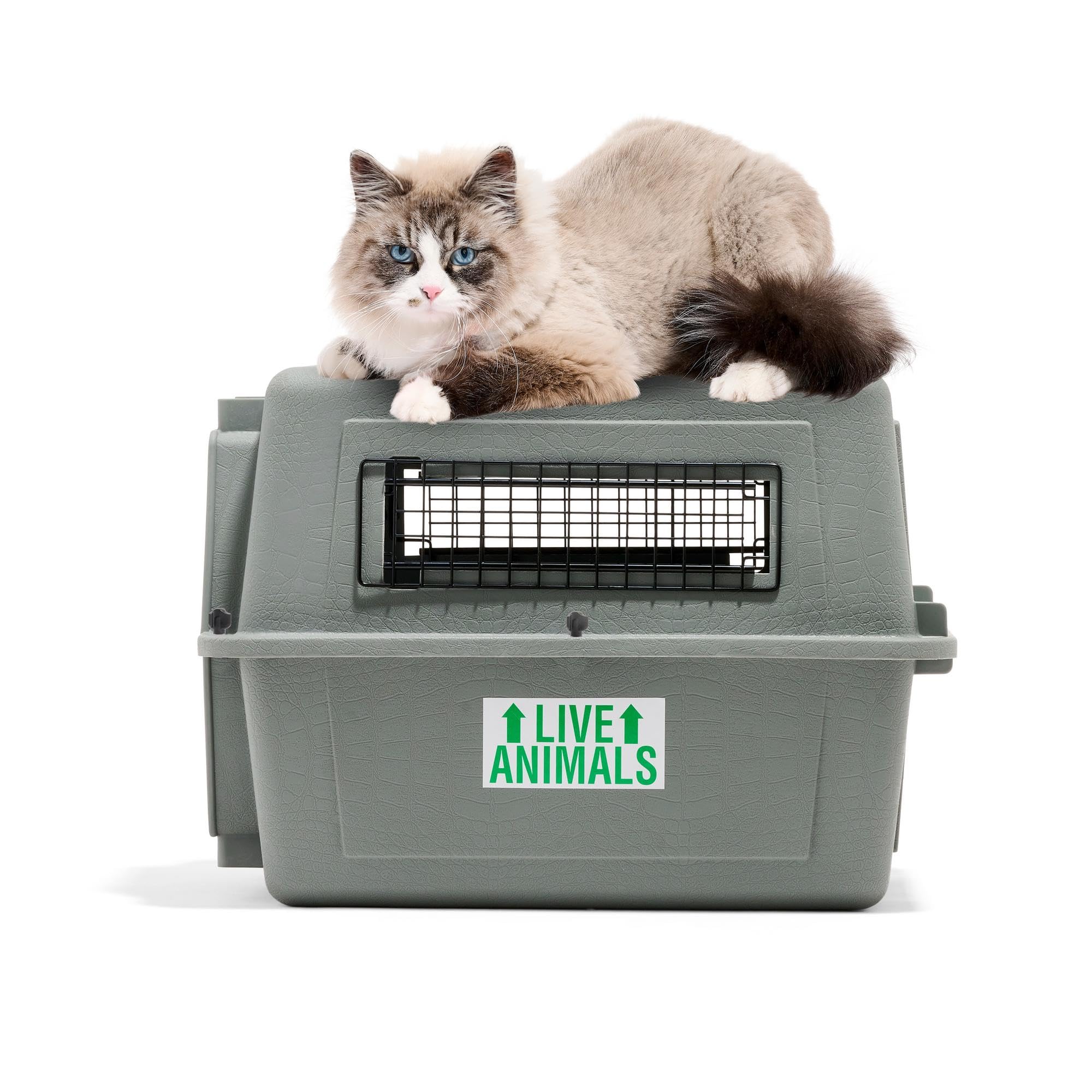 Petmate Sky Kennel USA-made durable crate for home and travel.