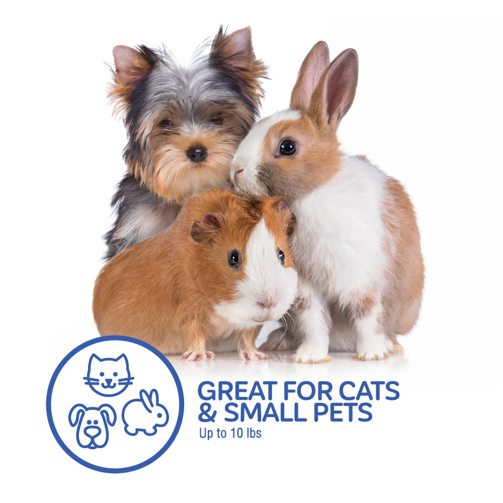 Petmate Top Load Cat Kennel assembled setup offers simple assembly.
