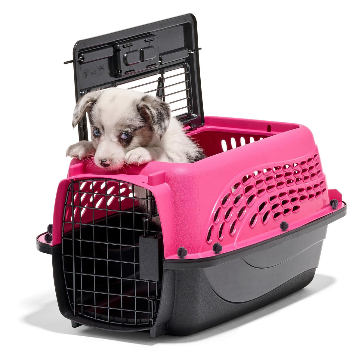 Petmate two-door pink carrier with front and top loading doors for easy access.