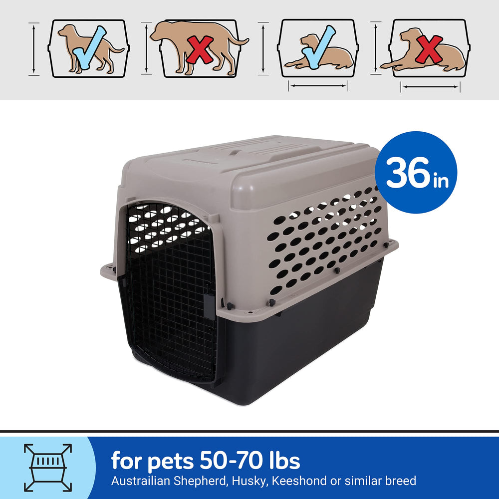 Petmate Vari Dog Kennel showing airline-friendly four-sided ventilation for comfort.