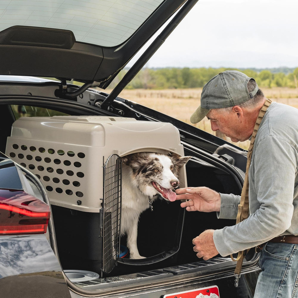 Petmate Vari Dog Kennel durable plastic shell for everyday travels.