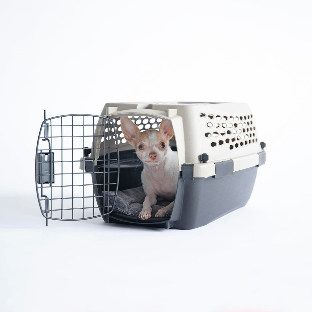 Petmate Vari Dog Kennel suitable for dogs up to 10 lbs.