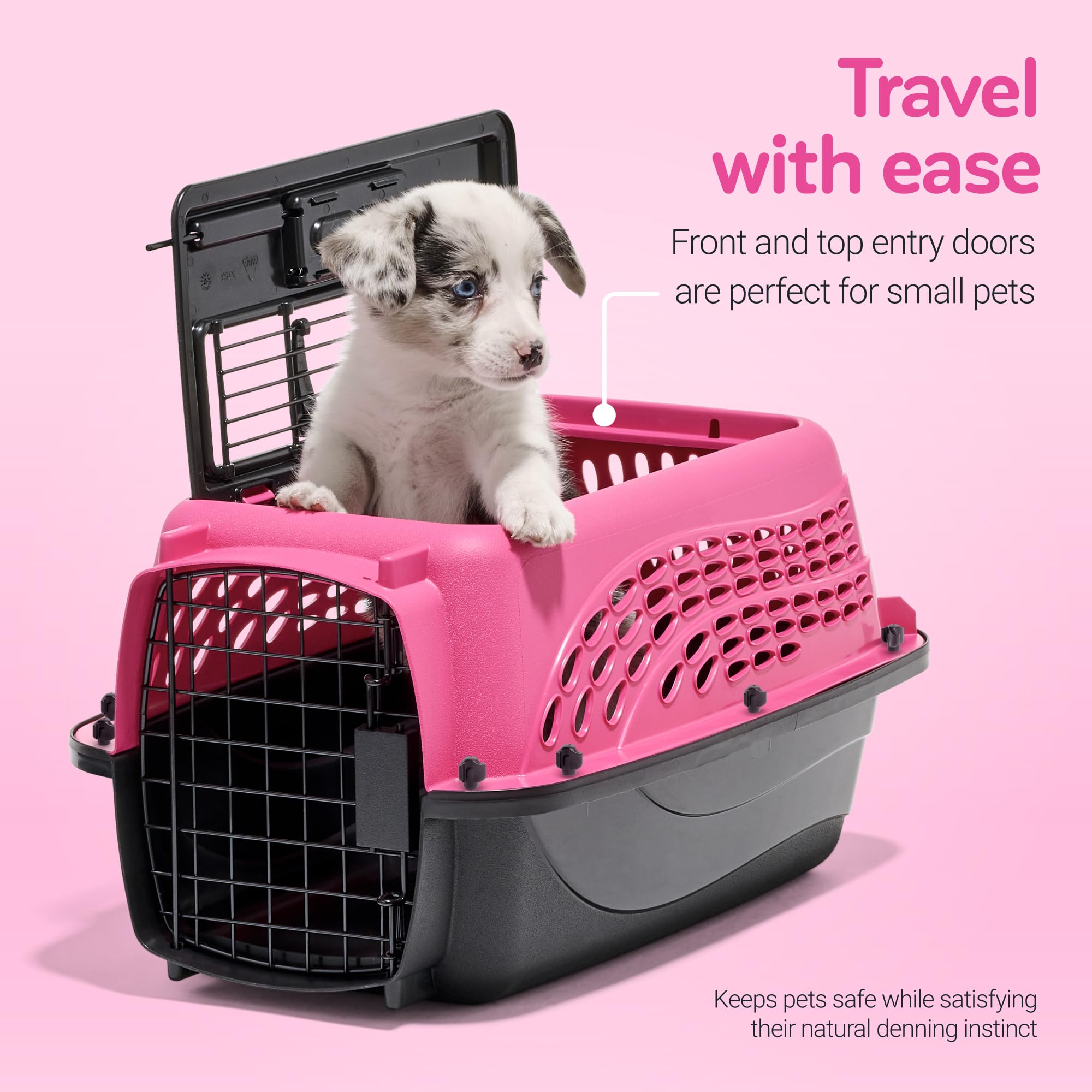 Petmate ventilated plastic shell offers airflow and 360-degree visibility.