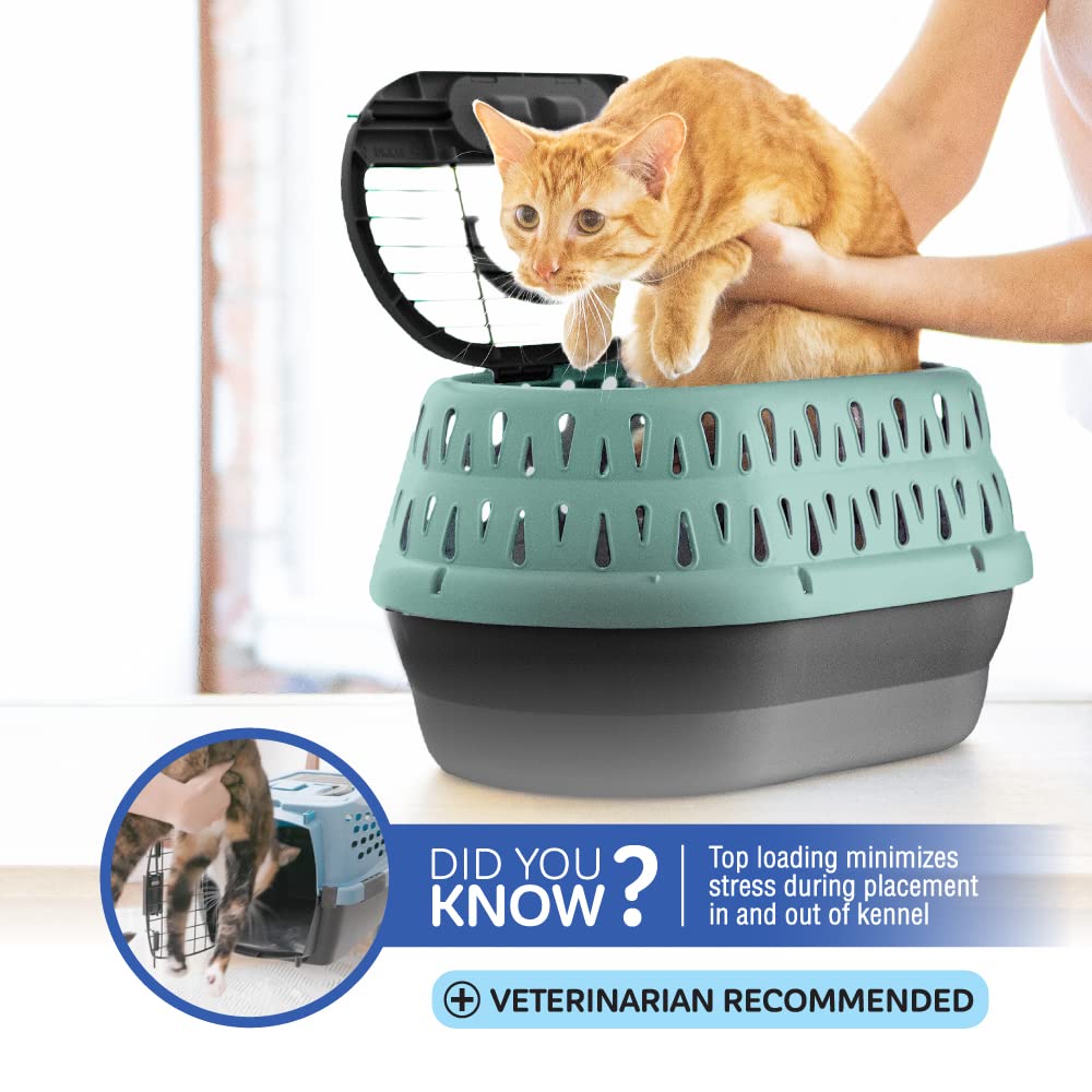 Petmate durable ventilated plastic shell for quick cleaning.