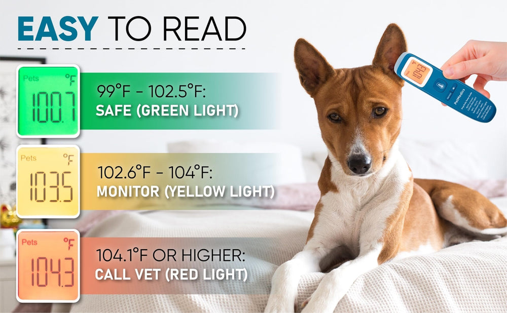 PetMedics large digital display ensures readings are easy to read in any light