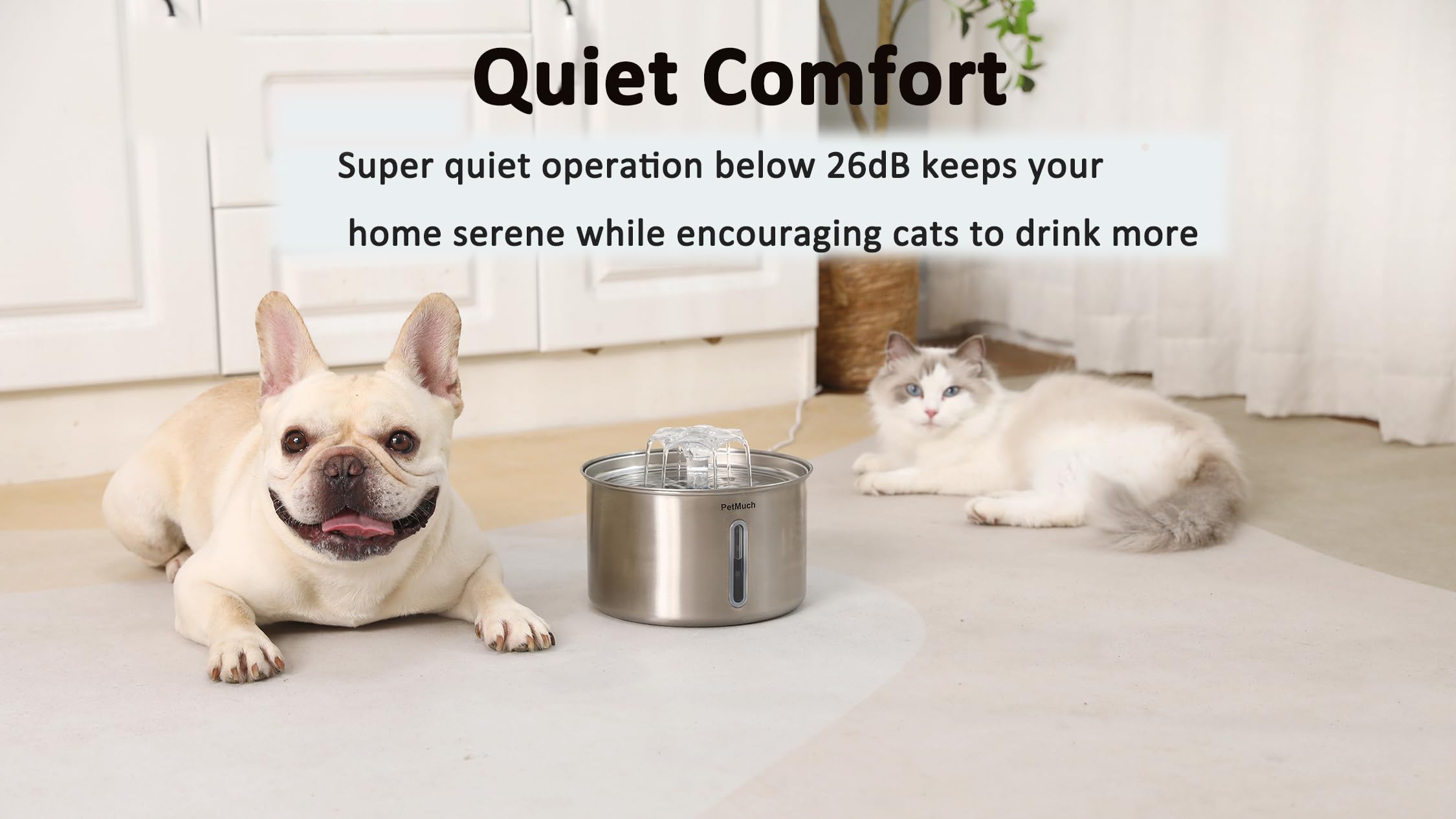 PetMuch suitable for cats and small dogs up to 25 lbs