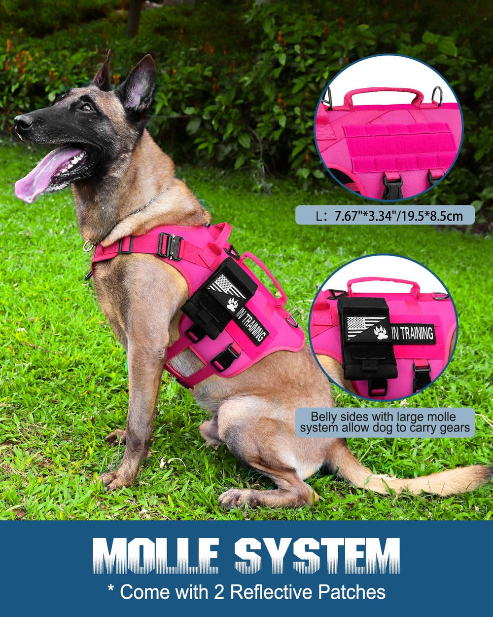 PETNANNY harness rear D-ring ideal for long leash hiking and trails