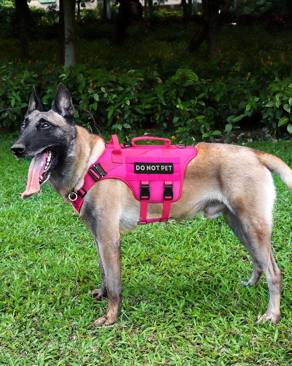 PETNANNY pink tactical harness for large dogs with high visibility
