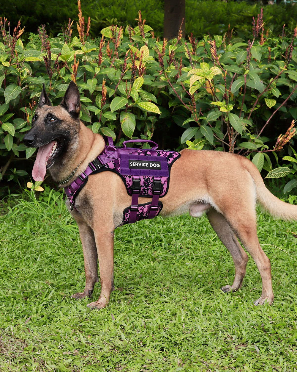 PETNANNY purple camo vest patch area for patches and IDs