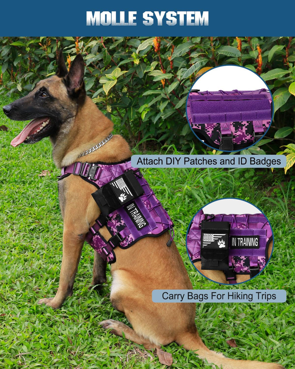 PETNANNY patches glow in the dark for night visibility