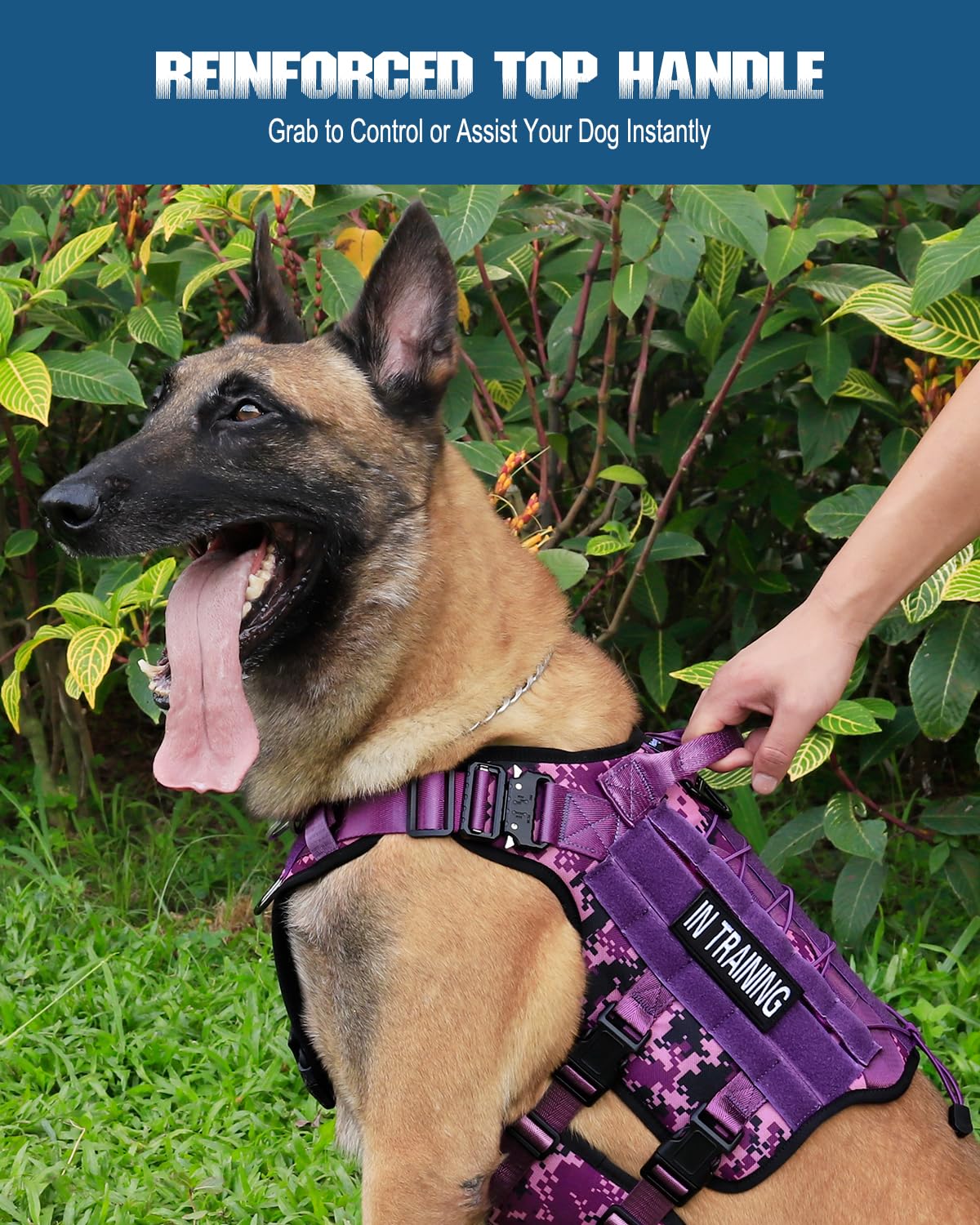 PETNANNY harness top handle for quick control during training